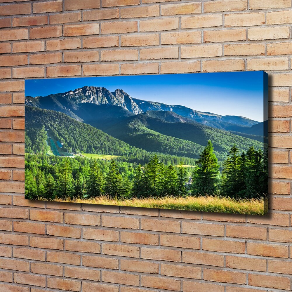 Foto obraz na płótnie Skocznia w Tatrach
