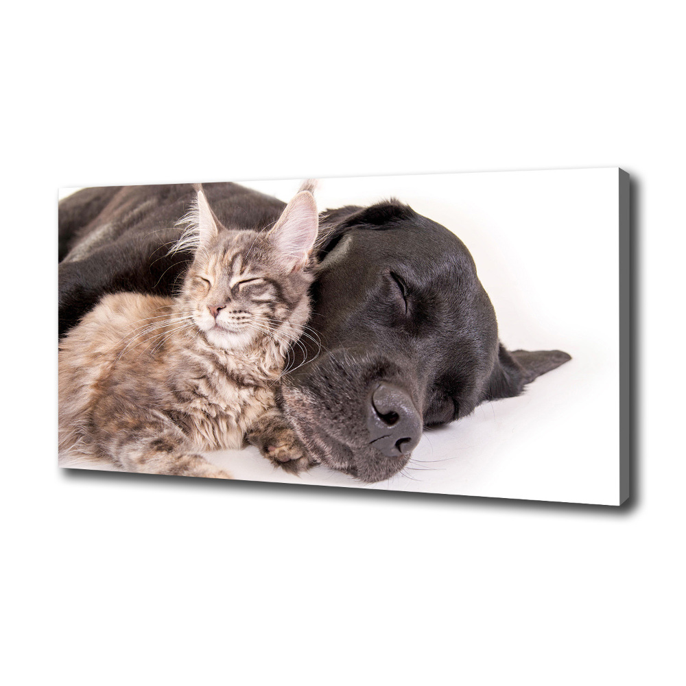 Duży Foto obraz na płótnie Pies z kotem