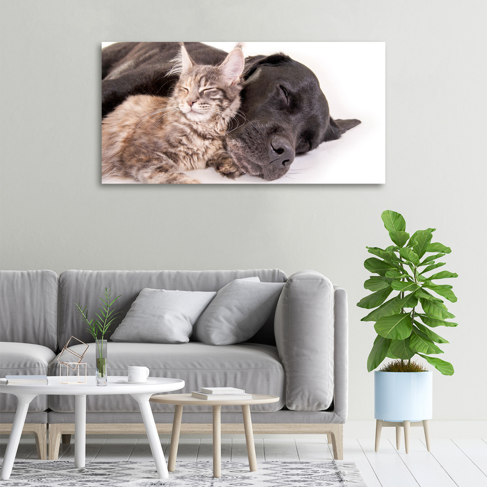 Duży Foto obraz na płótnie Pies z kotem