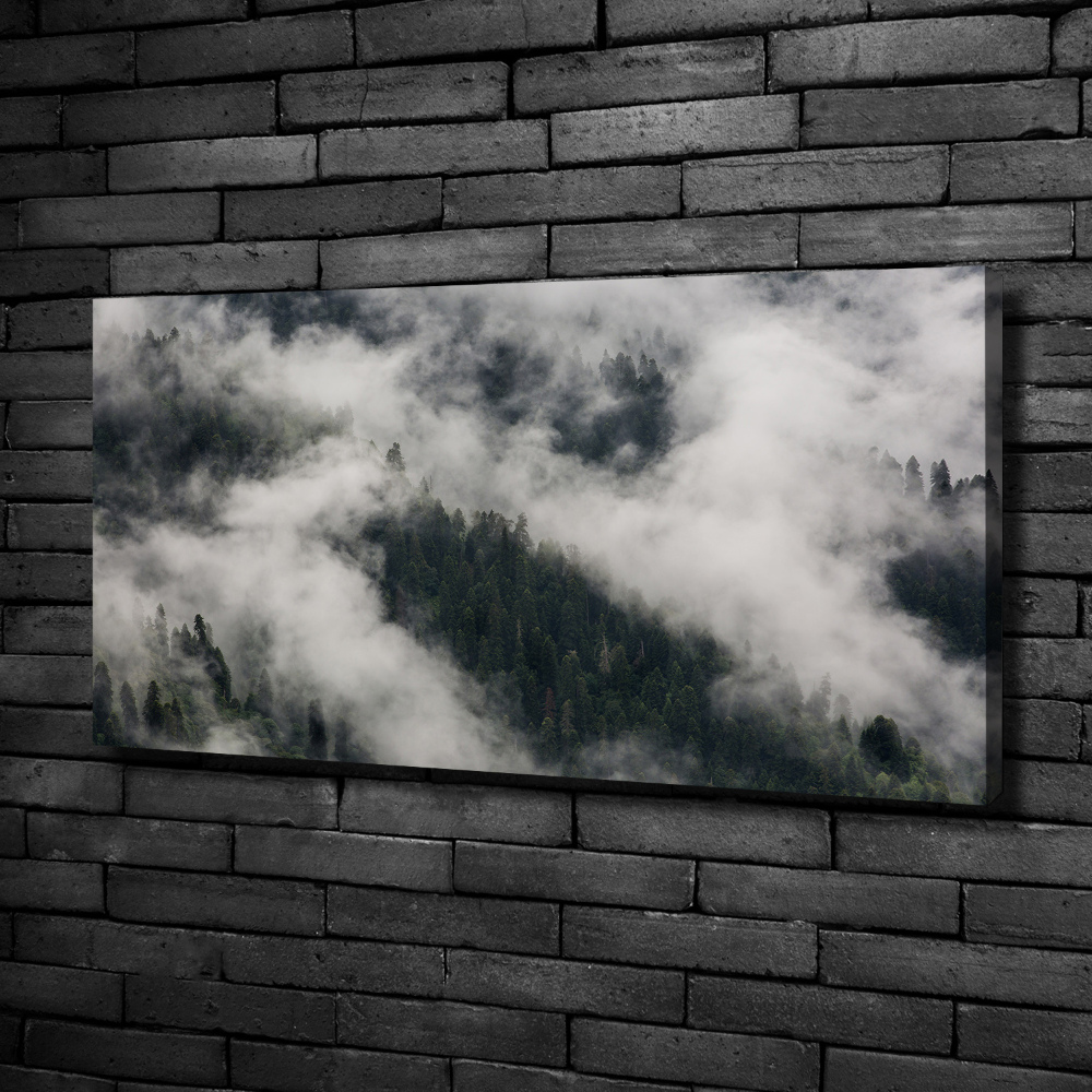 Foto obraz na płótnie Mgła nad lasem