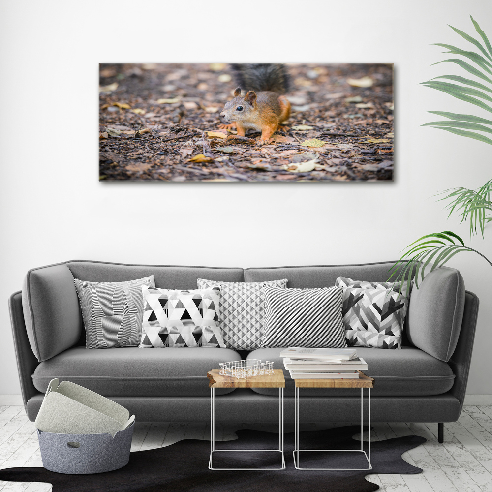 Foto obraz canvas Wiewiórka