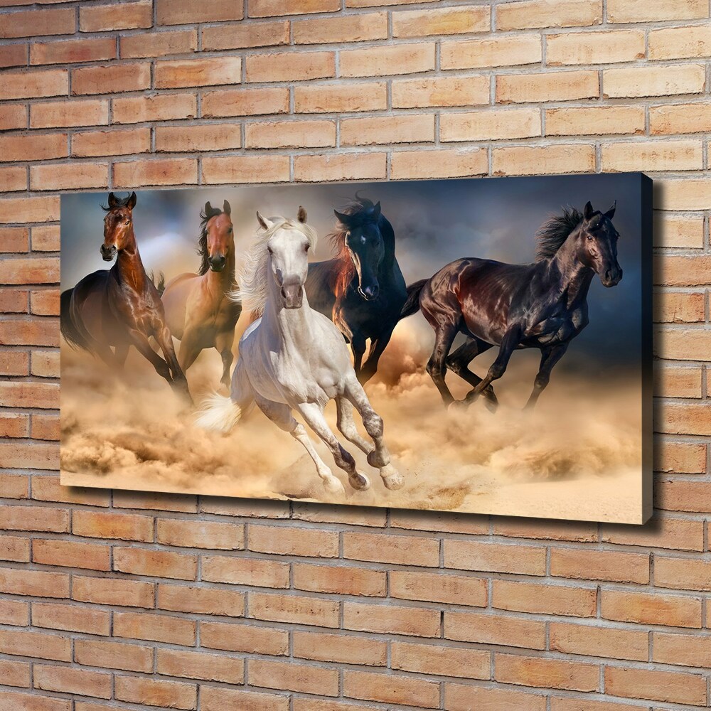 Foto obraz na płótnie Konie w galopie