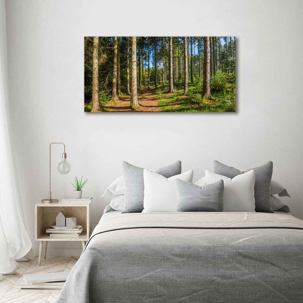 Foto obraz na płótnie Panorama lasu