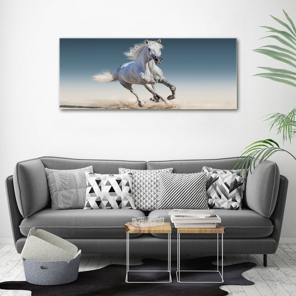 Foto obraz na płótnie Biały koń w galopie