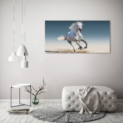Foto obraz na płótnie Biały koń w galopie
