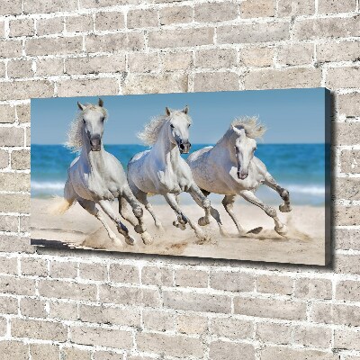 Foto obraz na płótnie Białe konie plaża