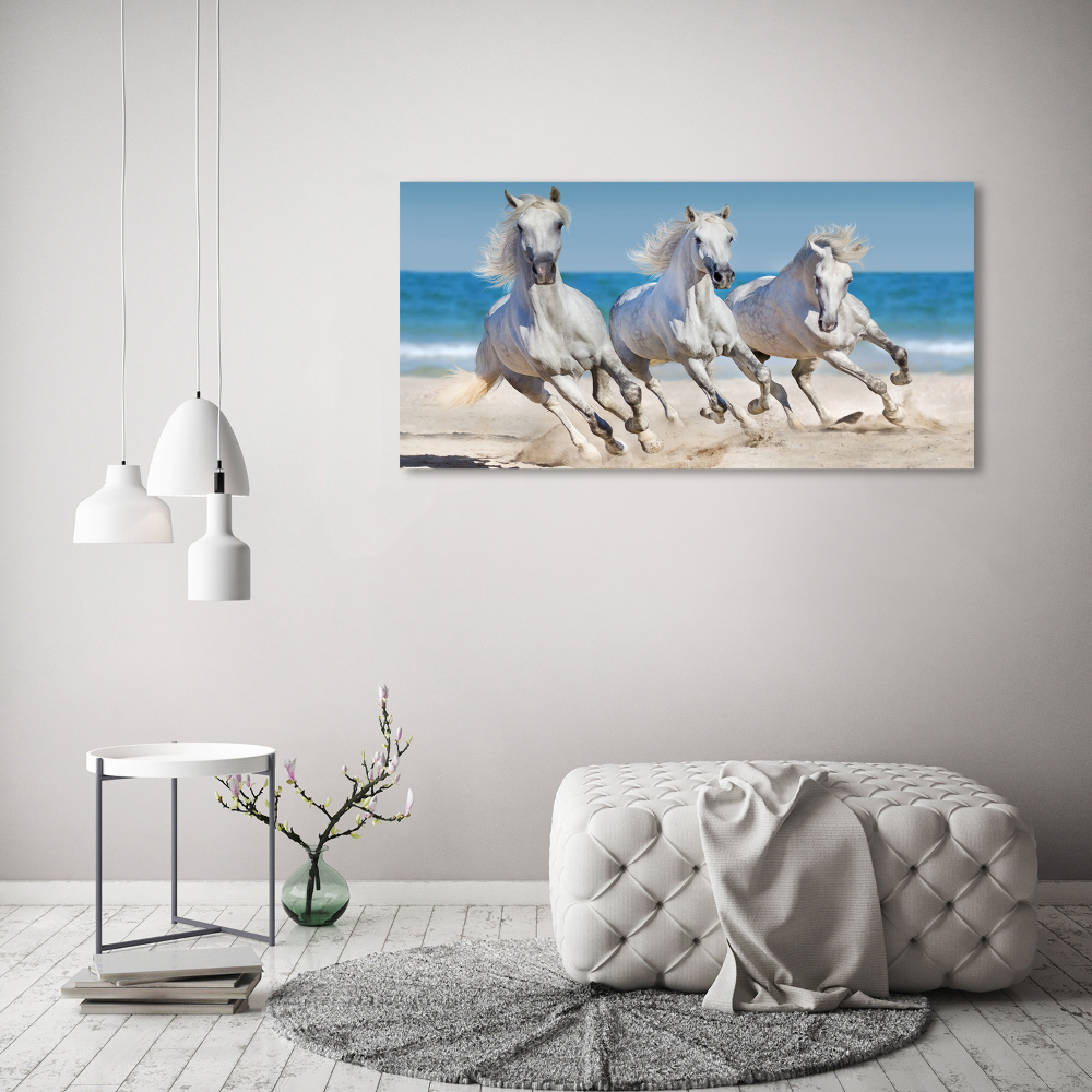 Foto obraz na płótnie Białe konie plaża
