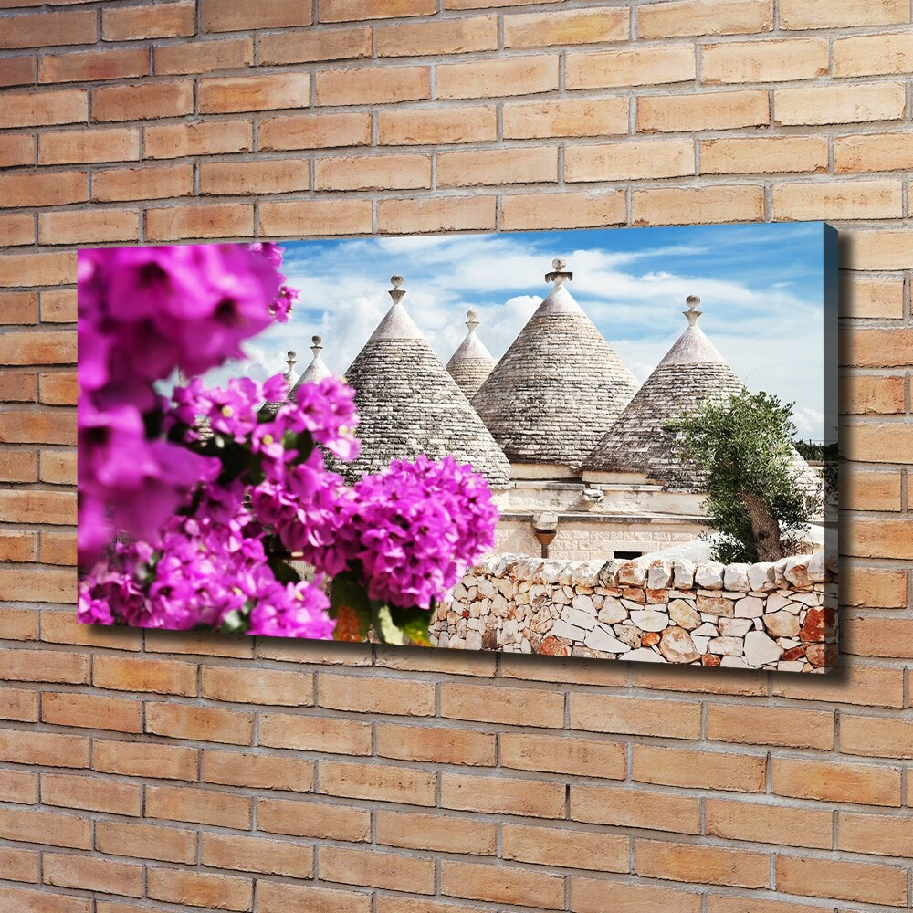 Foto obraz canvas Domy trulli