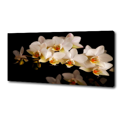 Foto obraz canvas Orchidea