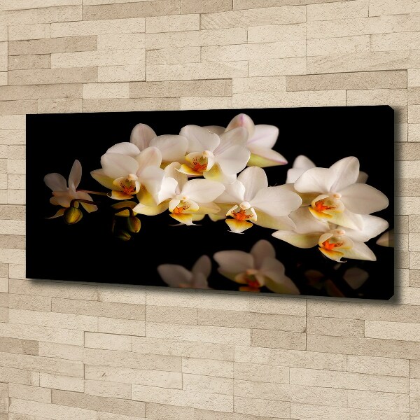 Foto obraz canvas Orchidea