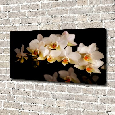 Foto obraz canvas Orchidea