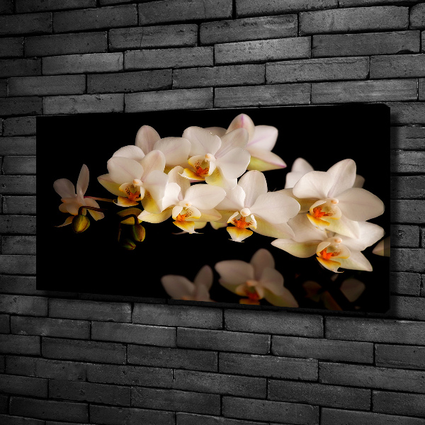 Foto obraz canvas Orchidea