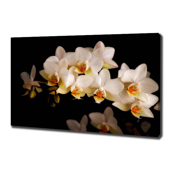 Foto obraz canvas Orchidea