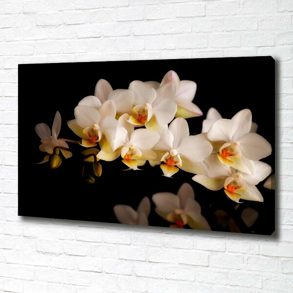 Foto obraz canvas Orchidea