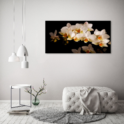 Foto obraz canvas Orchidea