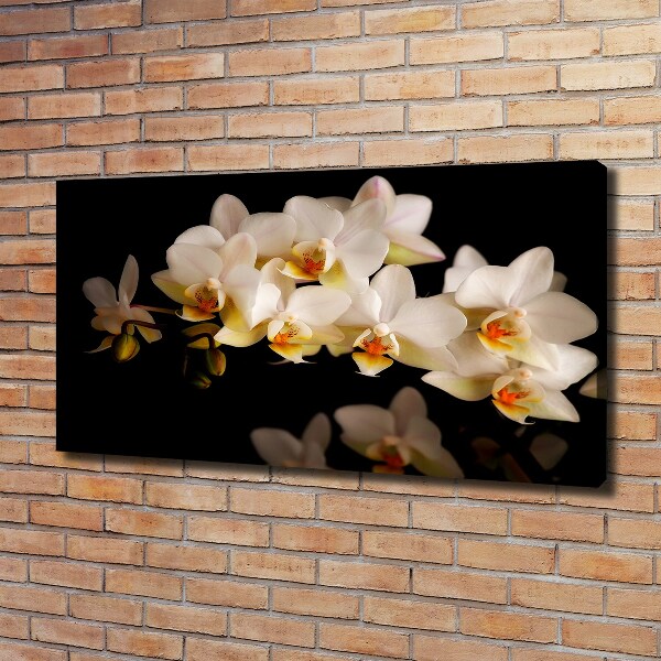 Foto obraz canvas Orchidea