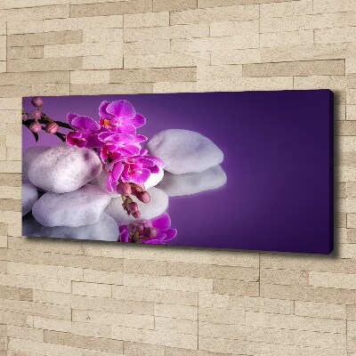 Foto obraz canvas Orchidea