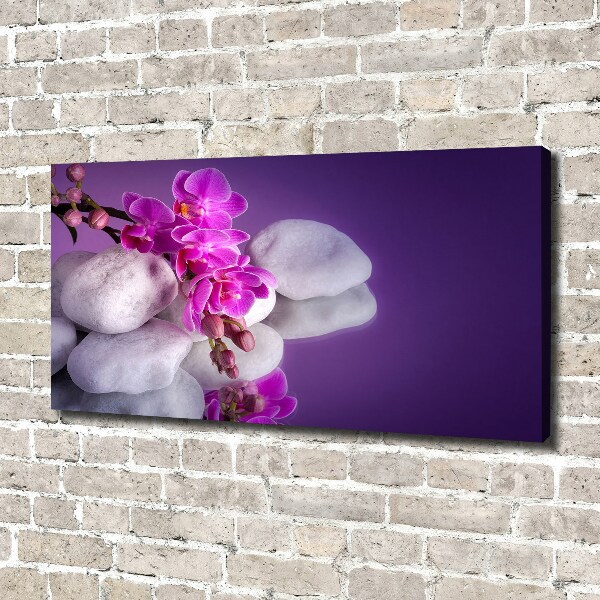 Foto obraz canvas Orchidea