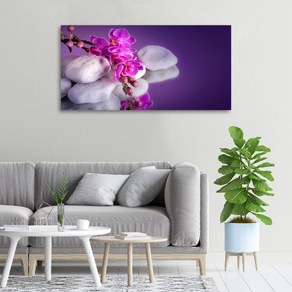 Foto obraz canvas Orchidea