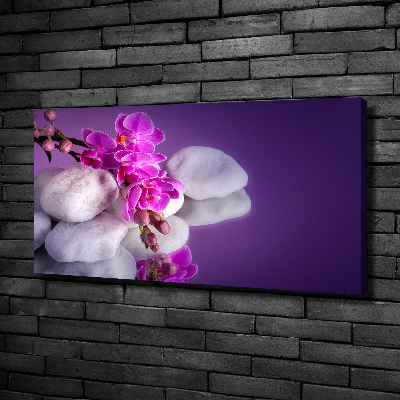 Foto obraz canvas Orchidea