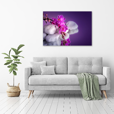 Foto obraz canvas Orchidea