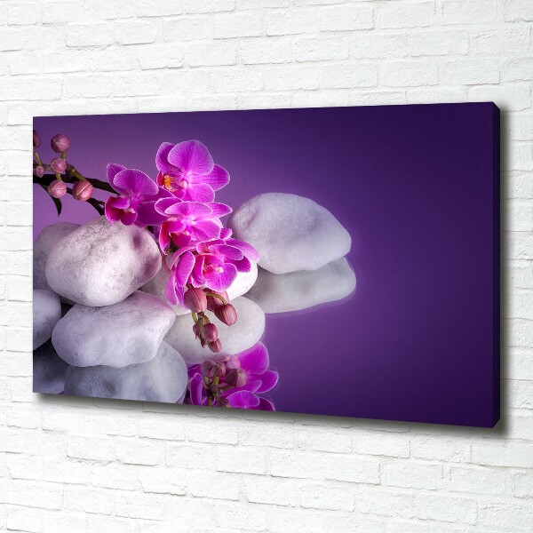 Foto obraz canvas Orchidea