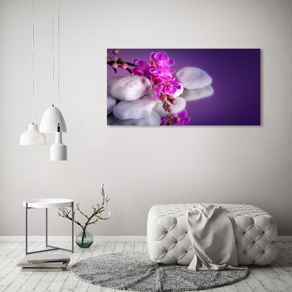 Foto obraz canvas Orchidea