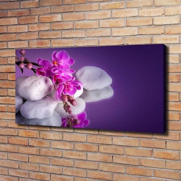 Foto obraz canvas Orchidea