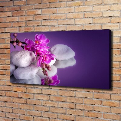 Foto obraz canvas Orchidea