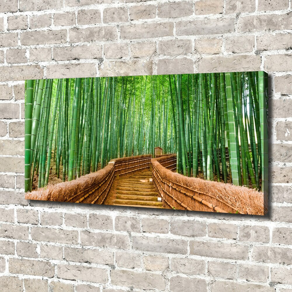 Foto obraz na płótnie Bambusowy las