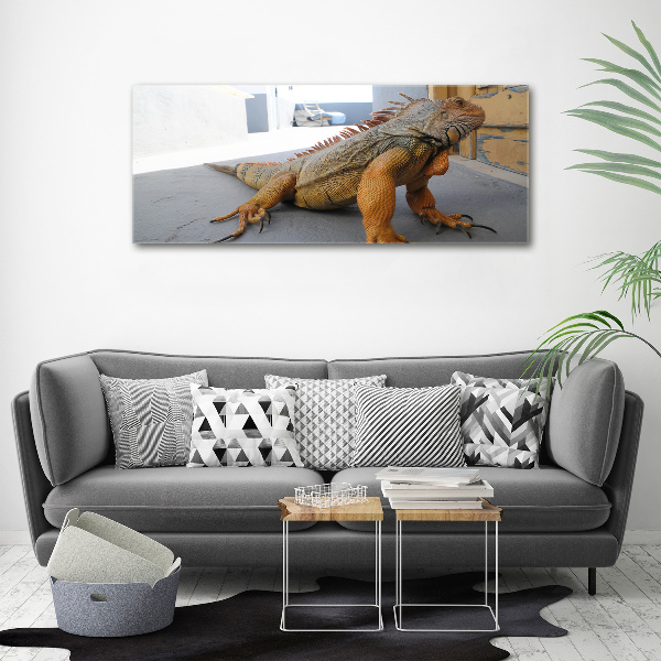 Duży foto obraz na ścianę canvas Iguana