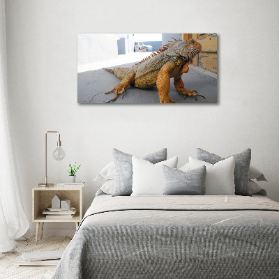 Duży foto obraz na ścianę canvas Iguana