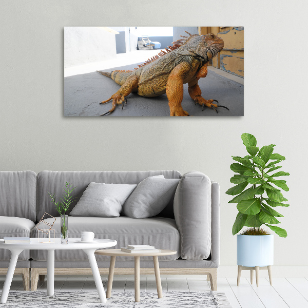 Duży foto obraz na ścianę canvas Iguana