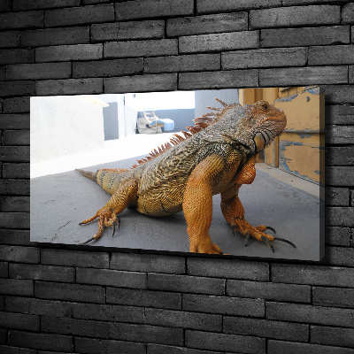 Duży foto obraz na ścianę canvas Iguana