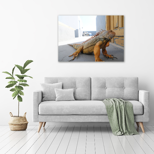 Duży foto obraz na ścianę canvas Iguana