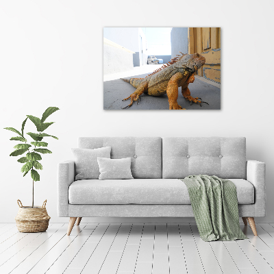 Duży foto obraz na ścianę canvas Iguana