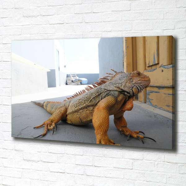 Duży foto obraz na ścianę canvas Iguana