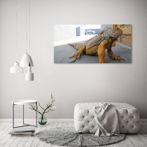 Duży foto obraz na ścianę canvas Iguana