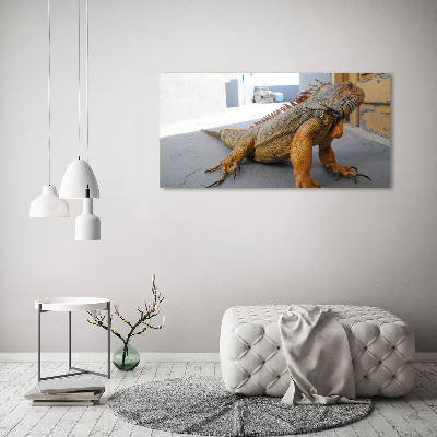 Duży foto obraz na ścianę canvas Iguana