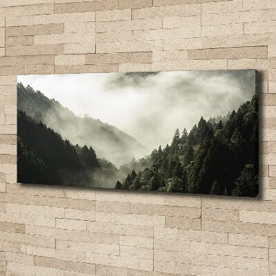 Foto obraz na płótnie Mgła nad lasem