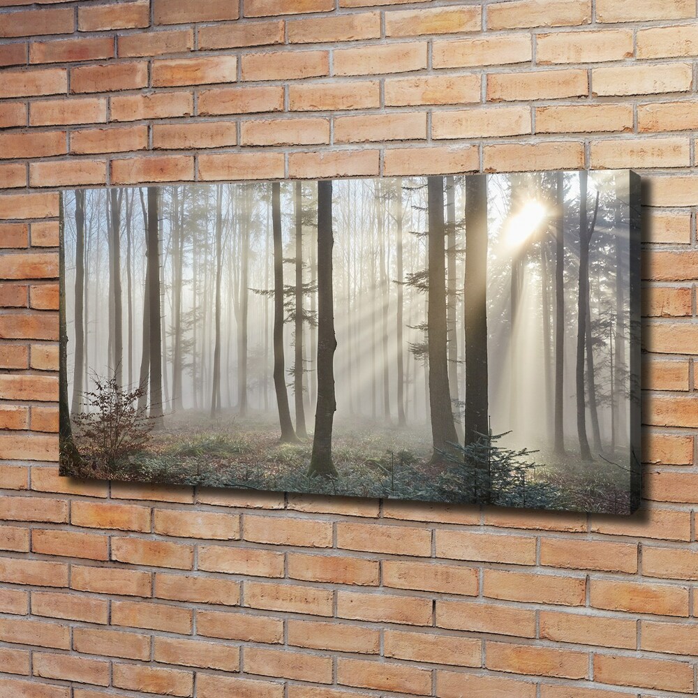 Duży Foto obraz na płótnie Mgła w lesie