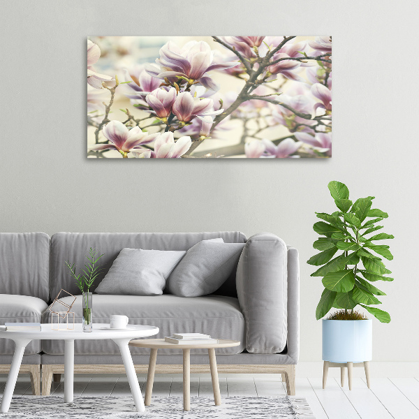 Foto obraz canvas Magnolia