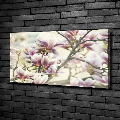 Foto obraz canvas Magnolia