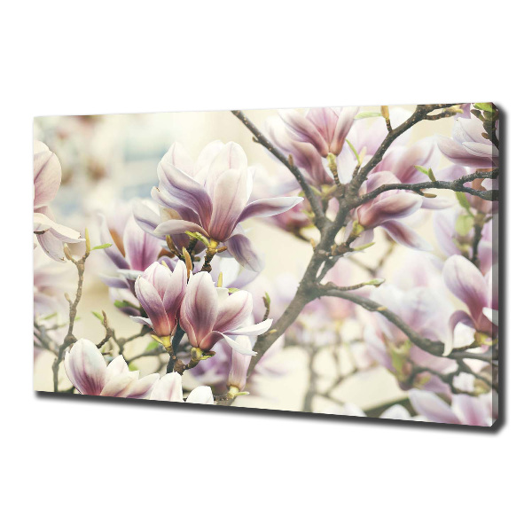 Foto obraz canvas Magnolia