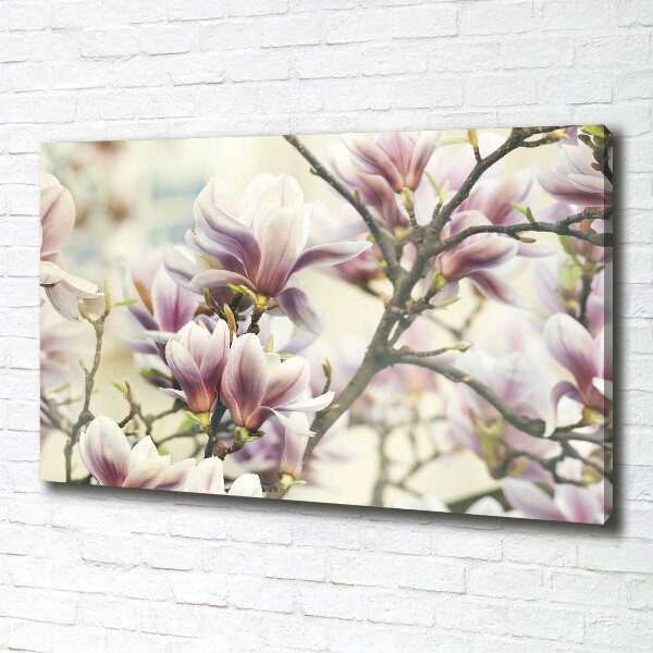 Foto obraz canvas Magnolia