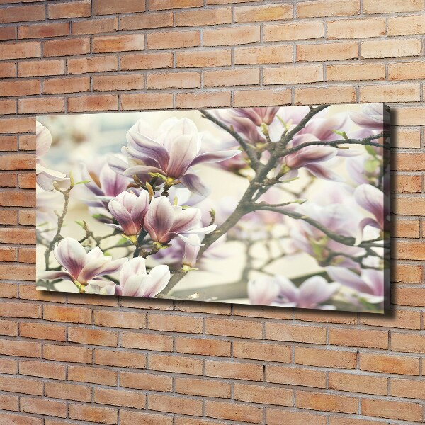 Foto obraz canvas Magnolia