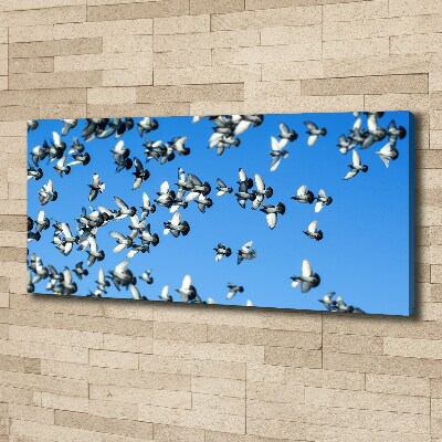 Duży Foto obraz na płótnie Stado gołębi