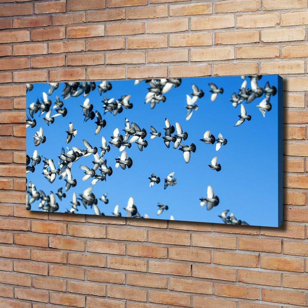 Duży Foto obraz na płótnie Stado gołębi