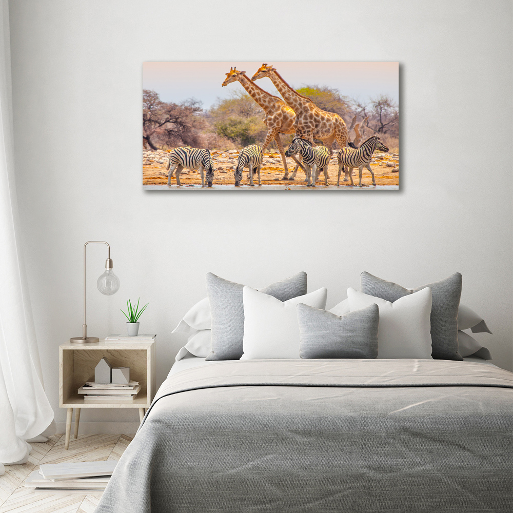Foto obraz na płótnie Żyrafy i zebry