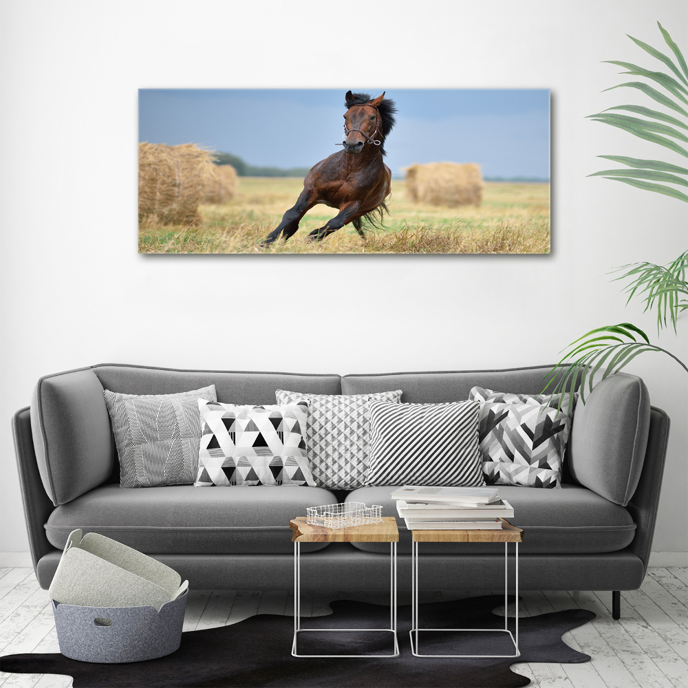 Foto obraz na płótnie Koń w galopie